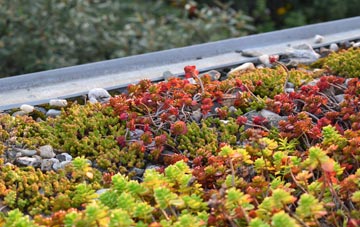 the cost of Whittlebury green roof installation