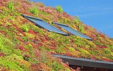 Whittlebury living roof systems